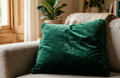 Entretenir un coussin en velours sans l'abîmer