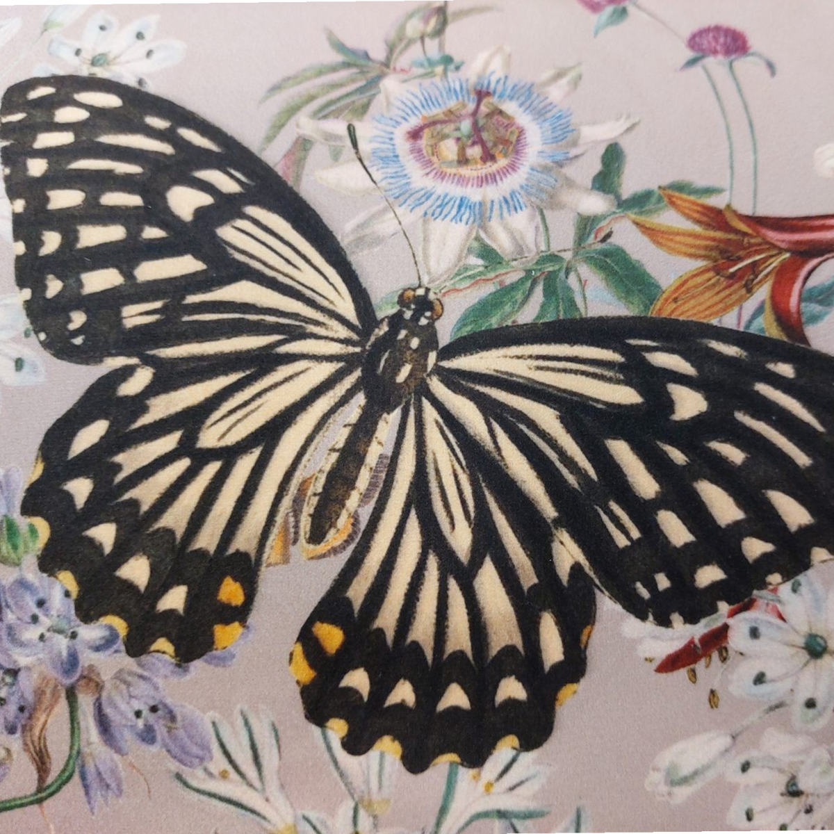 Coussin Depuis des lustres avec imprimé botanique détaillé de fleurs et papillon sur fond rose poudré en velours