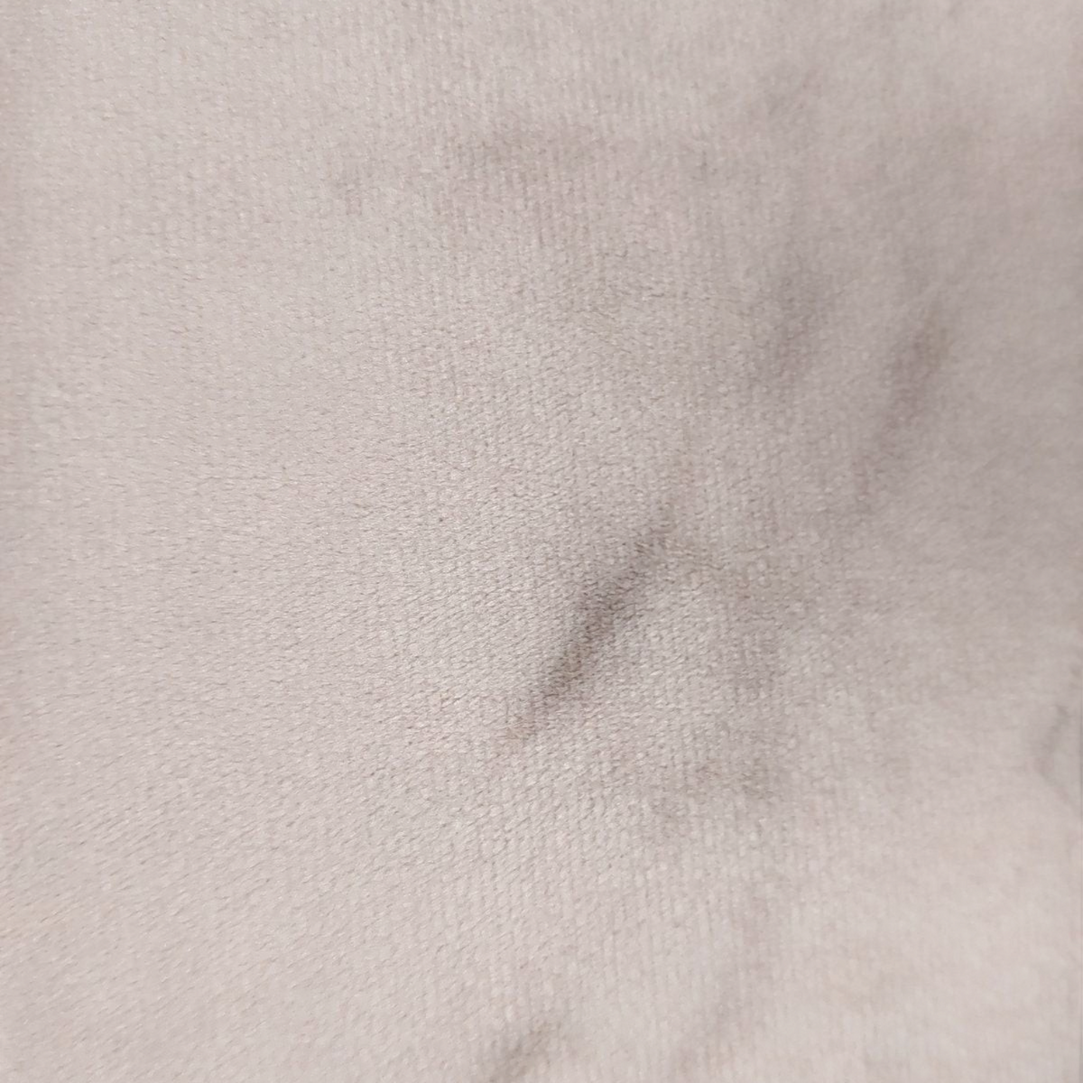 Verso uni gris en velours doux du coussin botanique Depuis des lustres, texture élégante et sobre