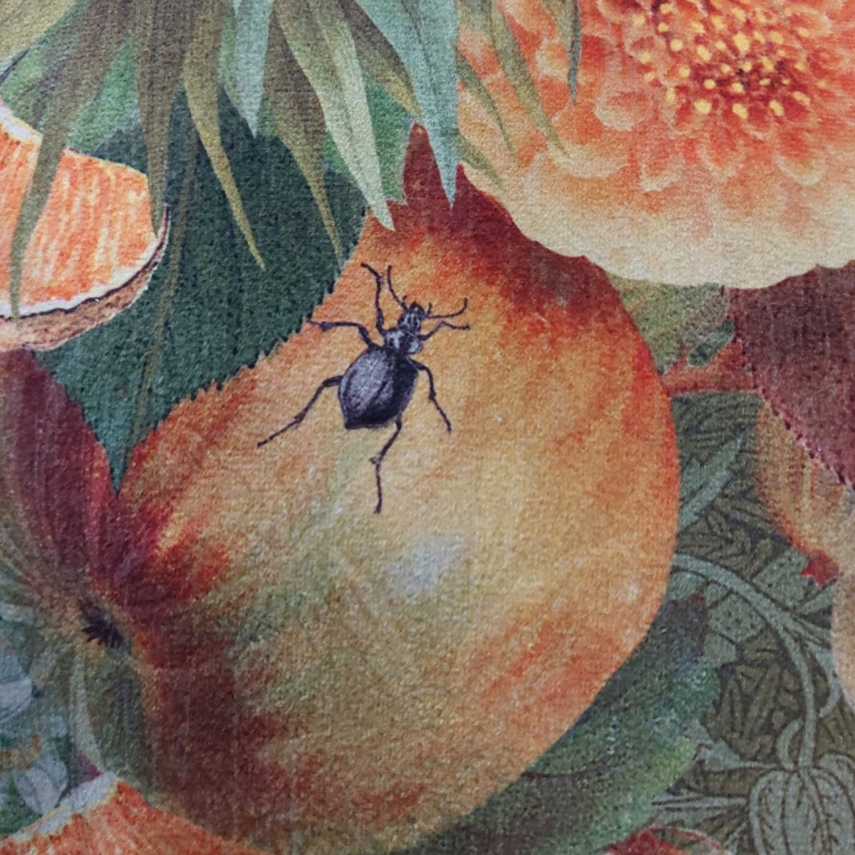 Depuis des lustres velvet cushion featuring a detailed naturalistic beetle illustration on floral olive and gold fabric