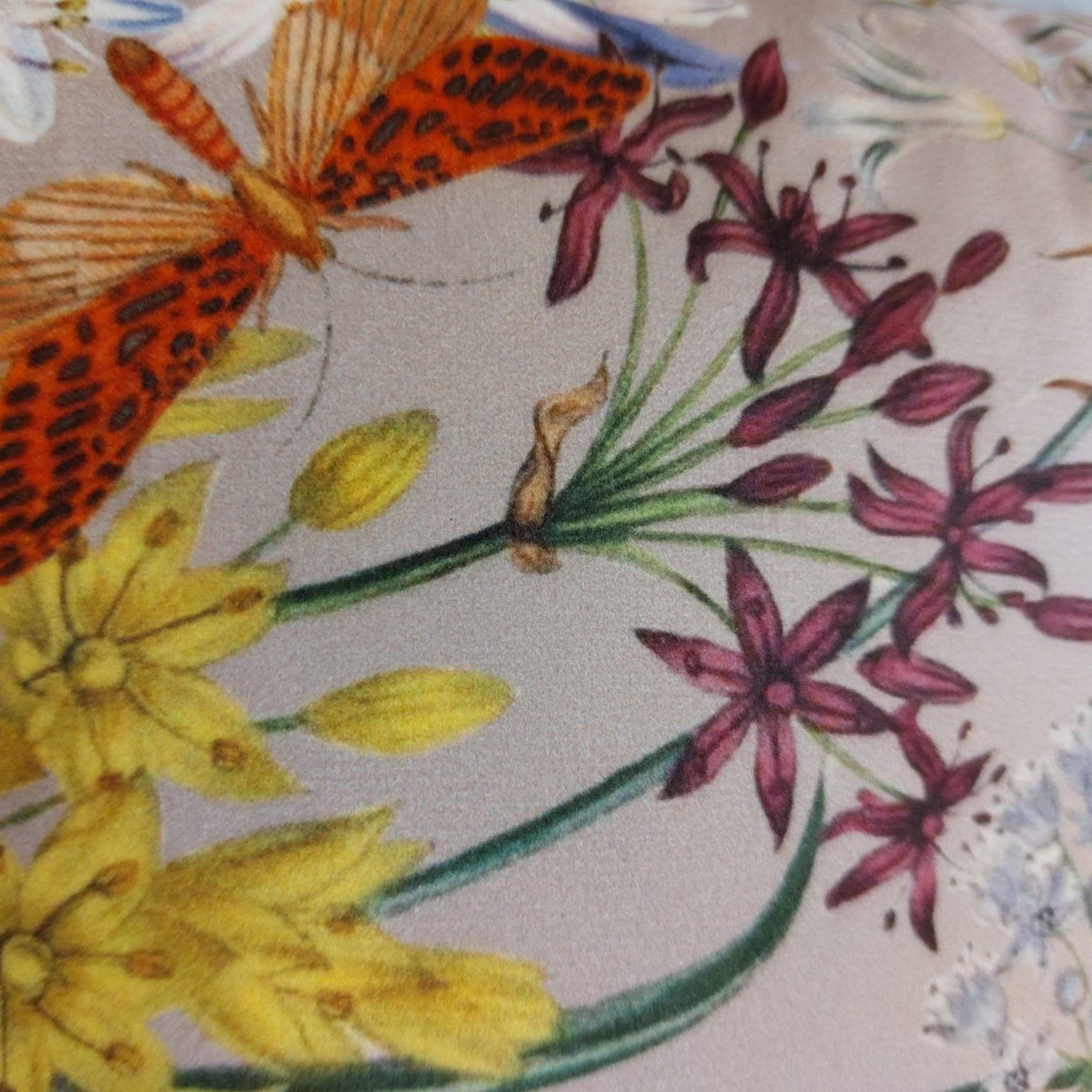 Coussin Depuis des lustres en velours rose poudré avec imprimé botanique détaillé de fleurs et papillons colorés