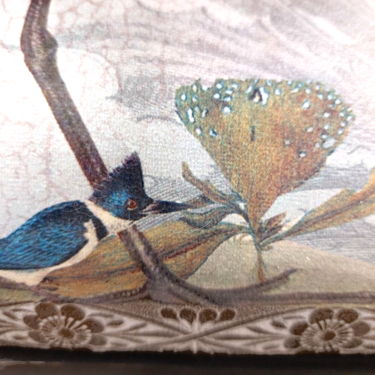 Depuis des lustres velvet cushion featuring a naturalist illustration of a blue bird and botanical details