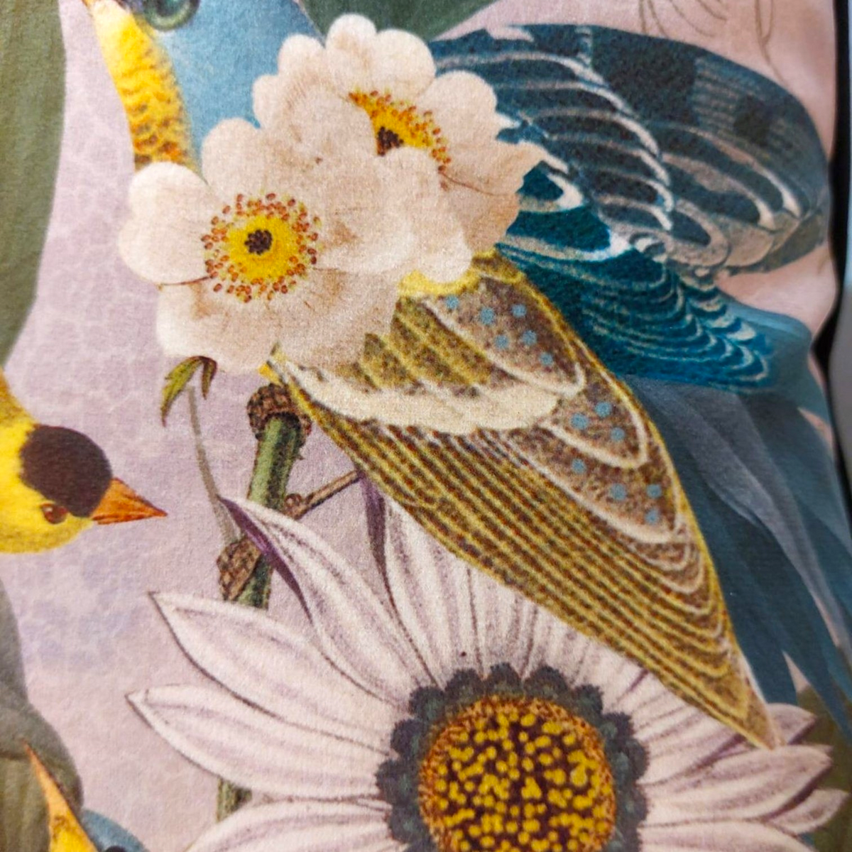 Depuis des lustres velvet cushion featuring vintage botanical print with birds, flowers, and tropical foliage