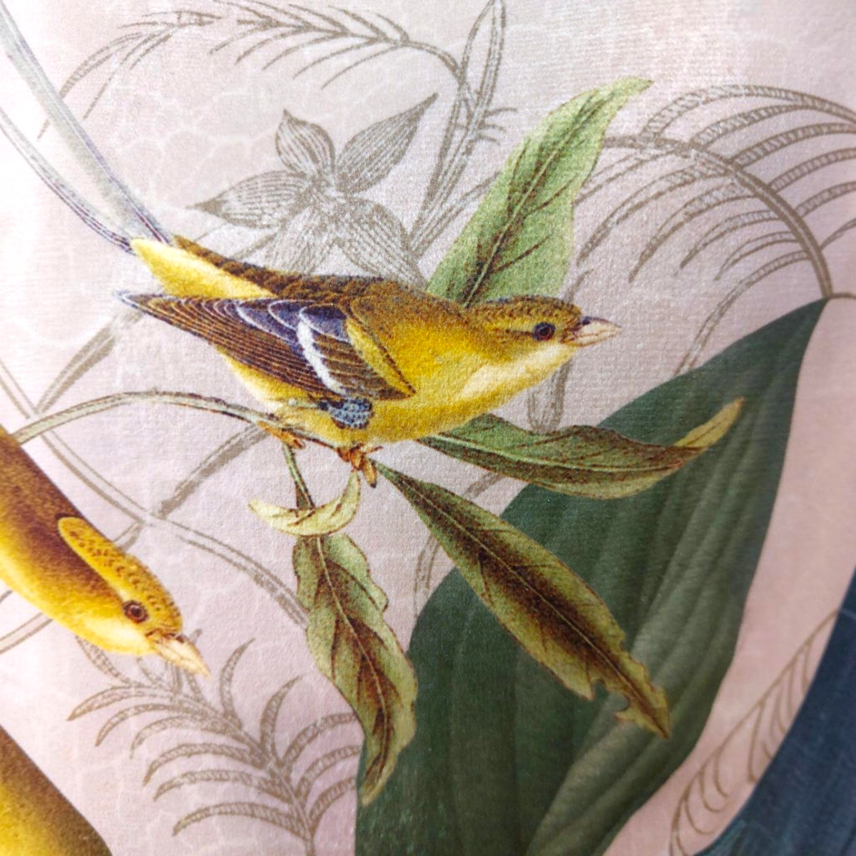 Depuis des lustres velvet cushion featuring a vintage botanical print with a yellow bird and green tropical leaves.