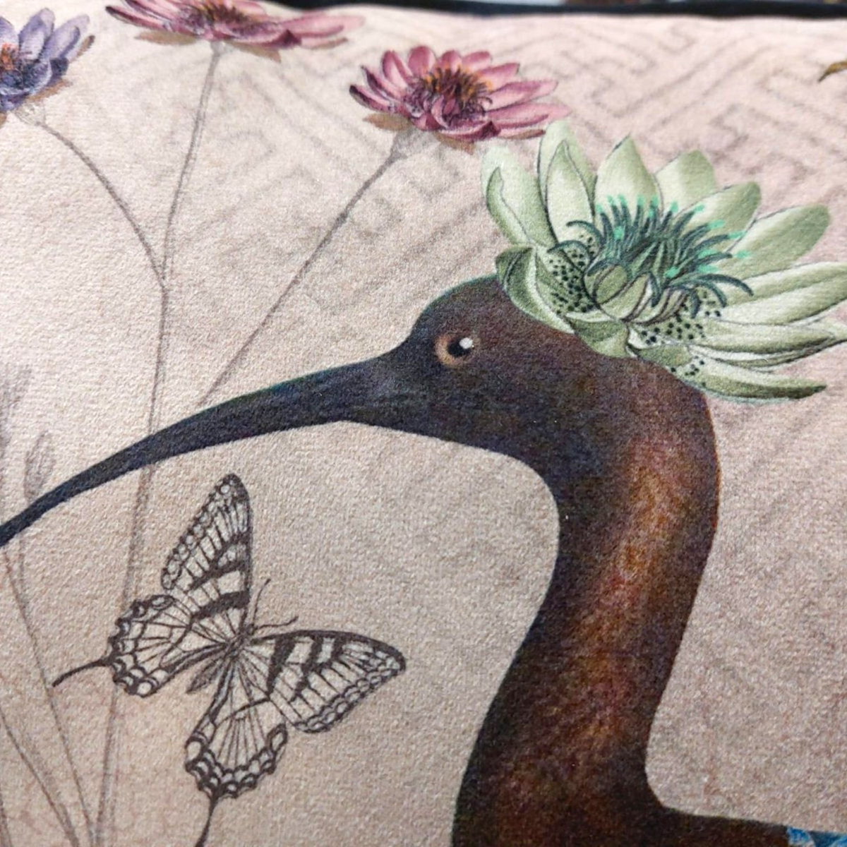 Depuis des lustres velvet cushion featuring a naturalist print of a bird with a flower crown and butterfly on beige