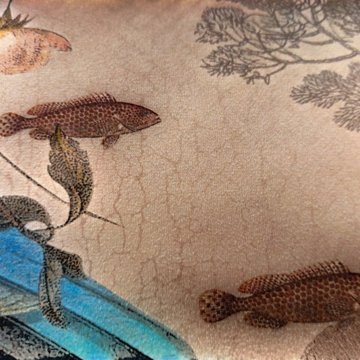 Depuis des lustres IOA velvet cushion featuring detailed naturalistic fish and botanical illustrations on beige fabric