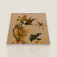 Abat-jour Rectangle GM Tillier - Collection Document Oiseaux Fleurs Mésange
