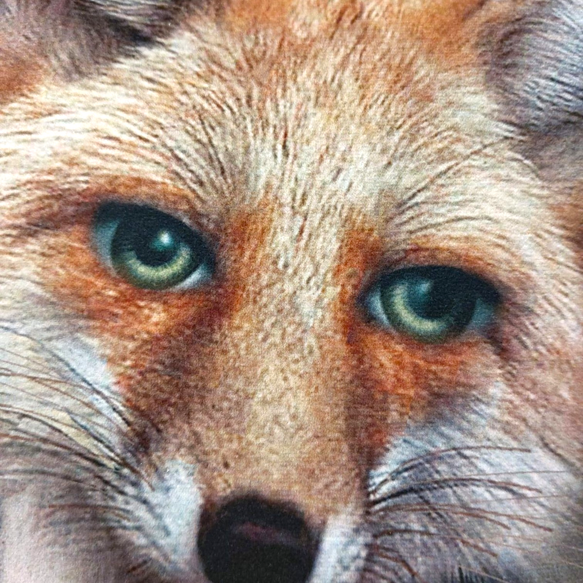 Depuis des lustres velvet cushion featuring a detailed portrait of a fox with green eyes on a khaki green background