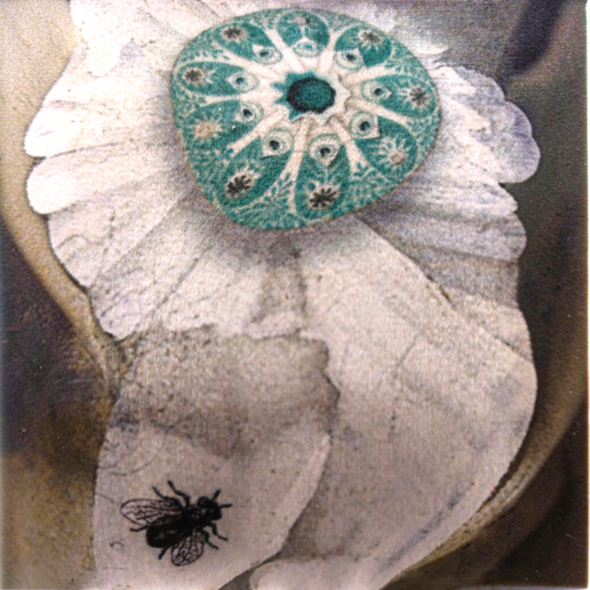 Depuis des lustres velvet cushion detail featuring a turquoise medallion on white fabric with a small insect print.