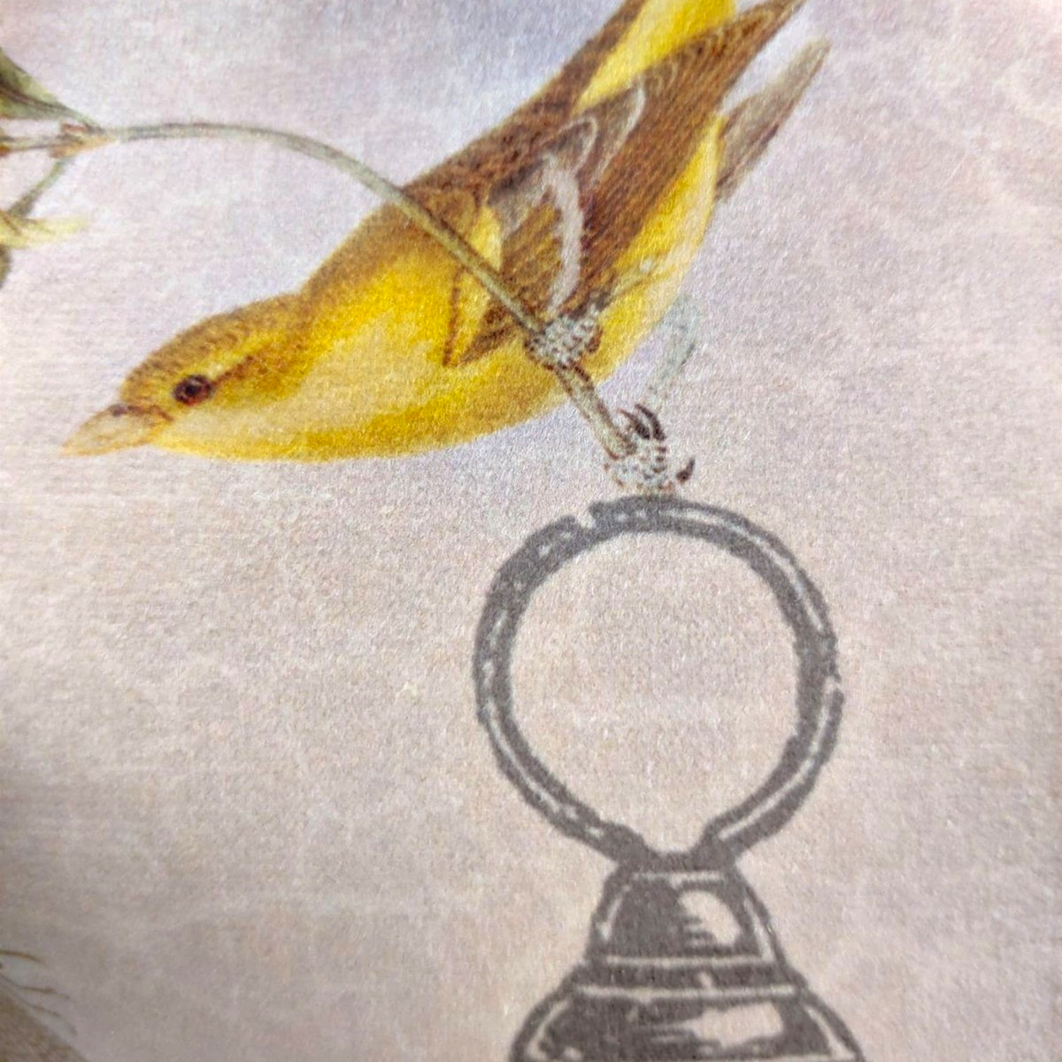 Depuis des lustres velvet cushion featuring a vintage botanical print with a yellow bird and birdcage detail.